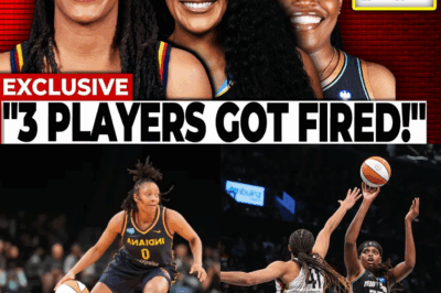 Shadow League Rising: How “Project B” and Saudi Money Could dismantle the WNBA’s Future BB