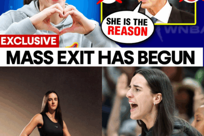 The Caitlin Clark Economy: How One Rookie Bankrupted the Old Playbook and Became Bigger Than the WNBA BB