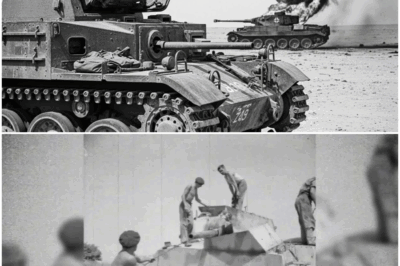 They Called His Tank a ‘Tin Can’ — Until He Destroyed 9 German Tanks in One Day DT