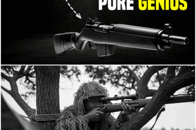 They Banned His Illegal Carbine — Until He Dropped 9 Japanese Snipers in Two Days DT