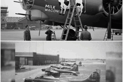 How One Mechanic’s “Stupid” Cow Paint Job Made His B-17 Unkillable DT