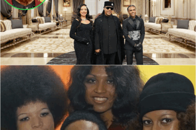 5 AMAZING Facts About Stevie Wonder’s House Tour DT