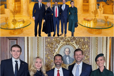 Barron Trump’s Trump Tower Penthouse – The Young Heir Growing Up Between Opulence and Expectation DT