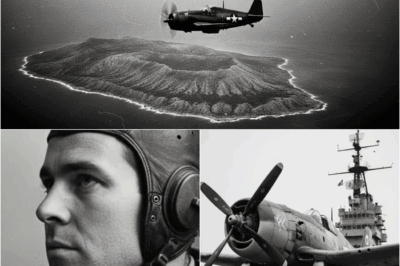 They Told Him to Only Take Photos — He Destroyed 40 Japanese Planes Instead DT
