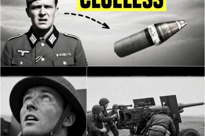 Germans Couldn’t Understand How American VT Fuzes Destroyed 82% Of Their V-1s In One Day DT