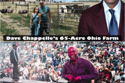 Dave Chappelle’s 65-Acre Ohio Farm – The Quiet Countryside Life of a Comedy Legend