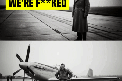 German Aces Mocked the P-51 Mustang — Until 200 of Them Appeared Over Berlin DT