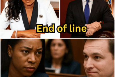 Josh Hawley INTERRUPTS Jasmine Crockett 6 Times — His 7th Line Ends It All… DT