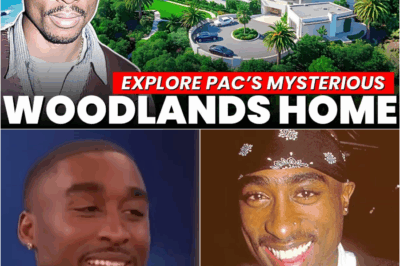 Tupac Shakur’s Mansions, Childhood Homes, And The Story Behind His $2.6M LA Estate DT