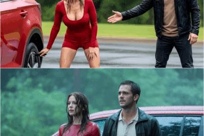 Poor Single Dad Helped a Stranded Woman — Not Knowing She Was the Judge Who Held His Fate DT