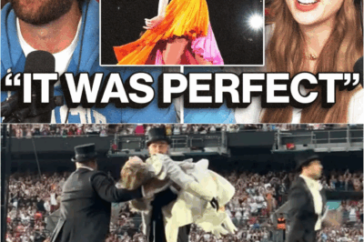 Taylor Swift and Travis Kelce Reveal the “Terrifying” Truth Behind Their Viral Eras Tour Stage Moment DT