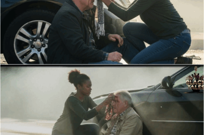 Black Single Mom Got Fired for Being Late After Helping an Injured Man — He was the Billionaire Boss DT