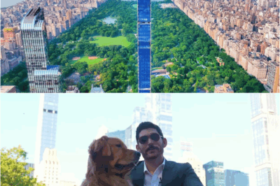 Inside a $54,600,000 Billionaires Row NYC Penthouse with Amazing City Views! DT