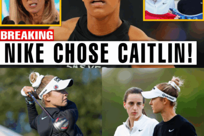 Nike’s Billion-Dollar Betrayal: How a Simple Gift Exposed the Ruthless Pivot from A’ja Wilson to Caitlin Clark BB