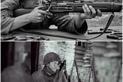 They Mocked His ‘Mail-Order’ Rifle — Until He Killed 11 Japanese Snipers in 4 Days DT