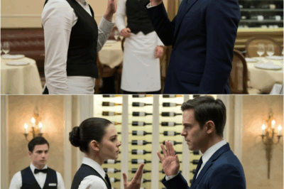 Shout at Me Again and I’ll End You!” The Waitress Warns the Billionaire — What Happens Next Will DT