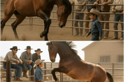 NOT EVEN THE BEST COWBOY COULD TOUCH THIS WILD HORSE… UNTIL THIS KID SHOWED UP