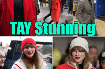 The Highmark Hurricane: How One Freezing Playoff Game in Buffalo Became the Epicenter of the Taylor Swift and Travis Kelce Phenomenon DT