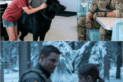 Little Girl Told the Navy SEAL: ‘My Dog Can Find Your Son’ — What Happened Next Shocked Everyone DT