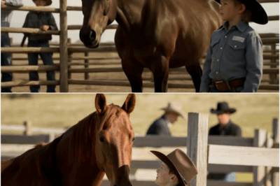 MY RANCH IS YOURS IF YOU TOUCH THIS HORSE… THE FARMER LAUGHED… BUT THE HUMBLE BOY SILENCED HIM