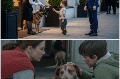 Billionaire Saw the Waitress Sharing Food With a Stray Dog – What He Did Next? DT