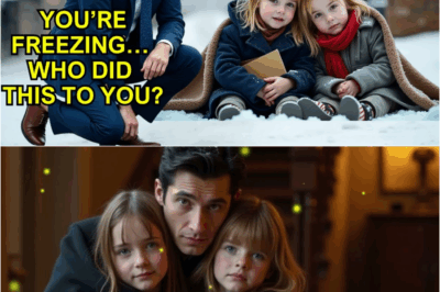 Millionaire Rescues Twins in a Snowstorm — What They Gave Him Changed His Life Forever DT