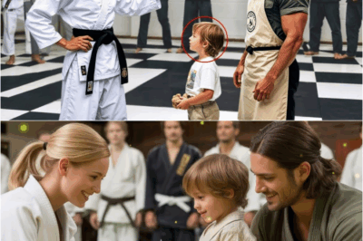 8th Dan Aikido Billionaire Asked a Single Dad to Spar — He Smiled “Only If You Promise Not to Cry” DT