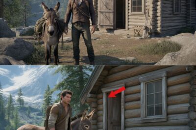 Tiny Donkey Wandered to Mountain Boy’s Cabin — What It Did Next Made Him Rich