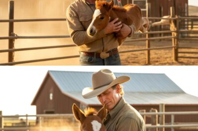 Poor Rancher Bought A Tiny Foal For 50 Cents — Unaware She Would Make Him A Millionaire