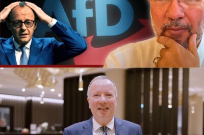 AfD-Werte steigen: Platzt die Merz-Regierung?