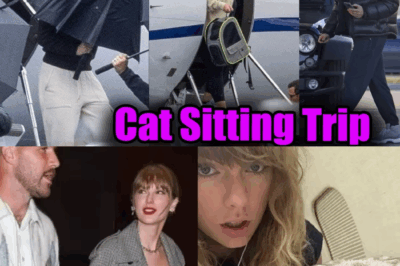 Taylor Swift takes her cats on Bye Week trip with fiancé Travis Kelce today BB