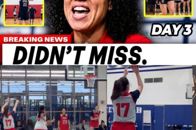 The Sniper’s Defiance: Inside Caitlin Clark’s Flawless Day 3 Masterclass and the Systemic Battle for the WNBA’s Future bb