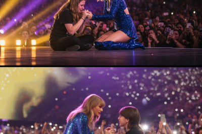 Taylor Swift Pulled Random Fan on Stage — What She Said Made Her Cry During the Concert BB