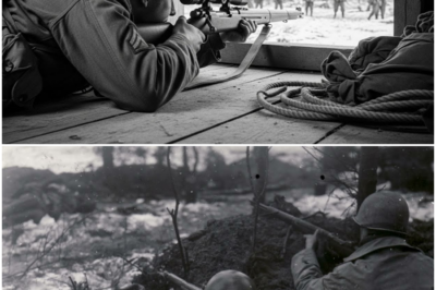 They Banned His ‘Cattle Shed Sniper Slit’ — Until It Dropped 9 Germans in 6 Minutes DT