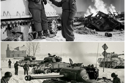 He Stole 40 Gallons of Enemy Paint — And Made 15 Shermans Disappear Into Snow. DT