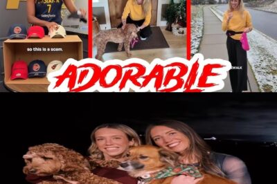 WNBA Off-Court Magic: Lexie Hull’s Adorable Commitment and Aliyah Boston’s Hilarious ‘Scam’ Outburst Go Viral, Redefining Athlete Authenticity bb