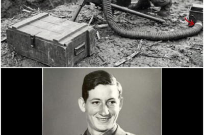 How a U.S. Soldier’s ‘Ammo Trick’ Killed 40 Germans in 18 Hours and Saved 320 Americans DT