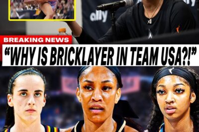 The Era is Over: A’ja Wilson’s Humiliating Team USA Snub Confirms League’s Brutal Philosophical Reset.bb