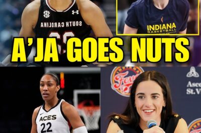 A’ja Wilson’s Devastating Snub: Team USA Cements Caitlin Clark as the New Global Face of Basketball bb