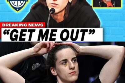 ‘Used as a Pawn’: Sue Bird Exposes Deep-Seated Racism and ‘Toxic’ Targeting of Caitlin Clark, Forcing Fever’s Franchise Overhaul bb