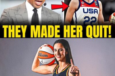 EGO OVER ECONOMY: STEPHEN A. SMITH CONFIRMS CAITLIN CLARK’S EXPLOSIVE ‘SOFT QUIT’ AFTER TEAM USA OLYMPIC SNUB EXPOSES WNBA’S TOXIC FAILURE bb