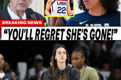 The Stacked Deck and the Secret Agenda: How the WNBA Tried to Undermine Caitlin Clark’s Historic Rookie Season bb