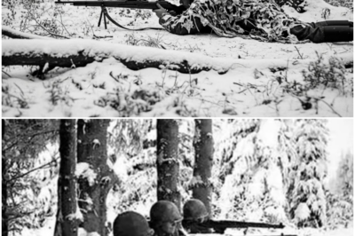They Called It Impossible — Until This Sniper Killed 87 Germans in 72 Hours Alone DT