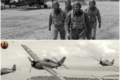 How a Commander’s “Matchstick Hack” Helped 4 Wildcat Pilots Defeat Deadly Japanese Zeros DT