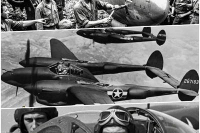 The “Mad” Mechanic Who Rebuilt a Crashed P-38 in the Jungle and Sent It Back to War DT