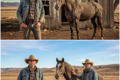 Rich Family Gave Rancher a trash Cabin and UNWANTED HORSE as a Joke…But It Was His DREAM All Along DT