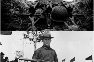 They Called It Suicide Ridge — Until One Marine Killed 76 Japanese Soldiers in 14 Hours DT