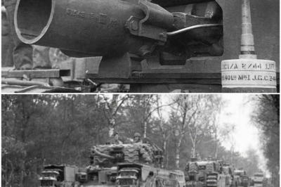 Germans Laughed at Britain’s “Dustbin Gun” — Until It Blasted Holes Through Their Fortresses DT