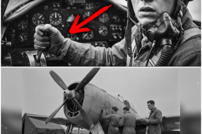 19-Year-Old P-47 Pilot Pulled Wrong Lever And Accidentally Created a Dive Escape Still Taught Today DT