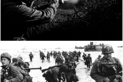 They Mocked His “Pistol Only Crawl” — Until He Took Out a Machine Gun Crew on D Day DT